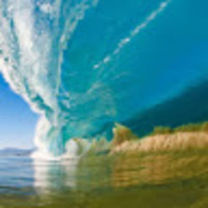 Meet your Posher, Gabriel